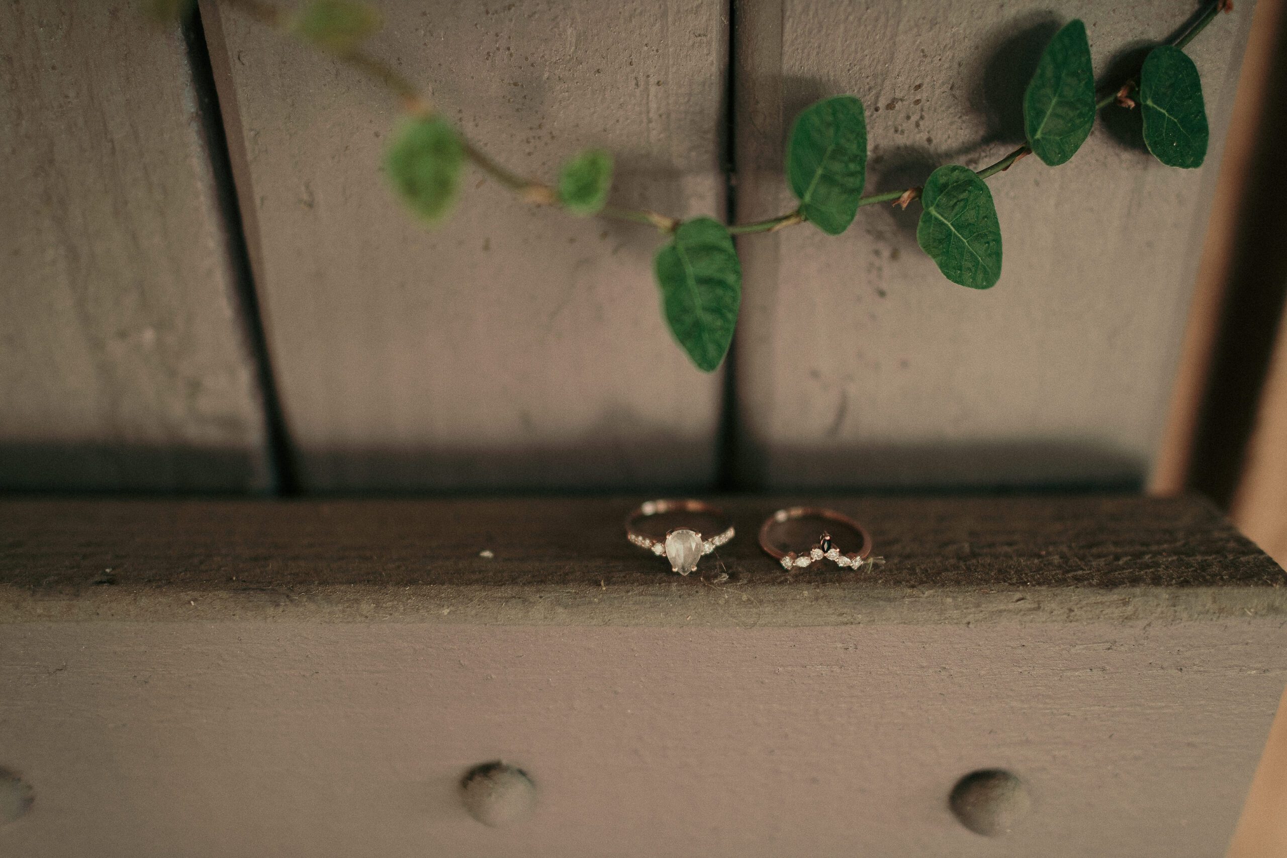 Hidden Hollow Wedding Reedley CA, Fresno Wedding Photographer, San Luis Obispo Wedding Photographer, James Lester Photography