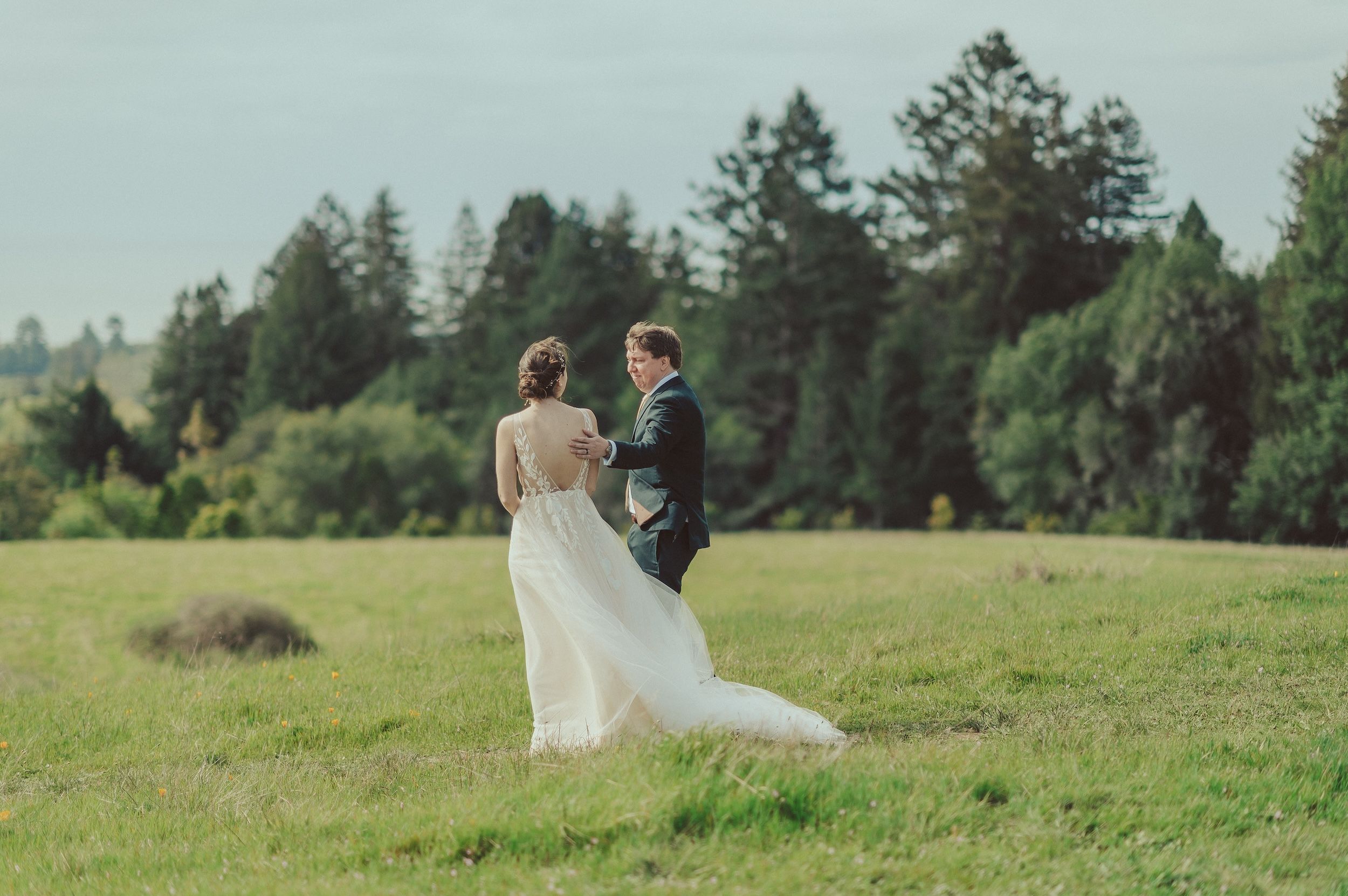 Henry Cowell Redwoods State Park Wedding, Woodhouse Brewery Wedding, Santa Cruz Wedding, James Lester Photography