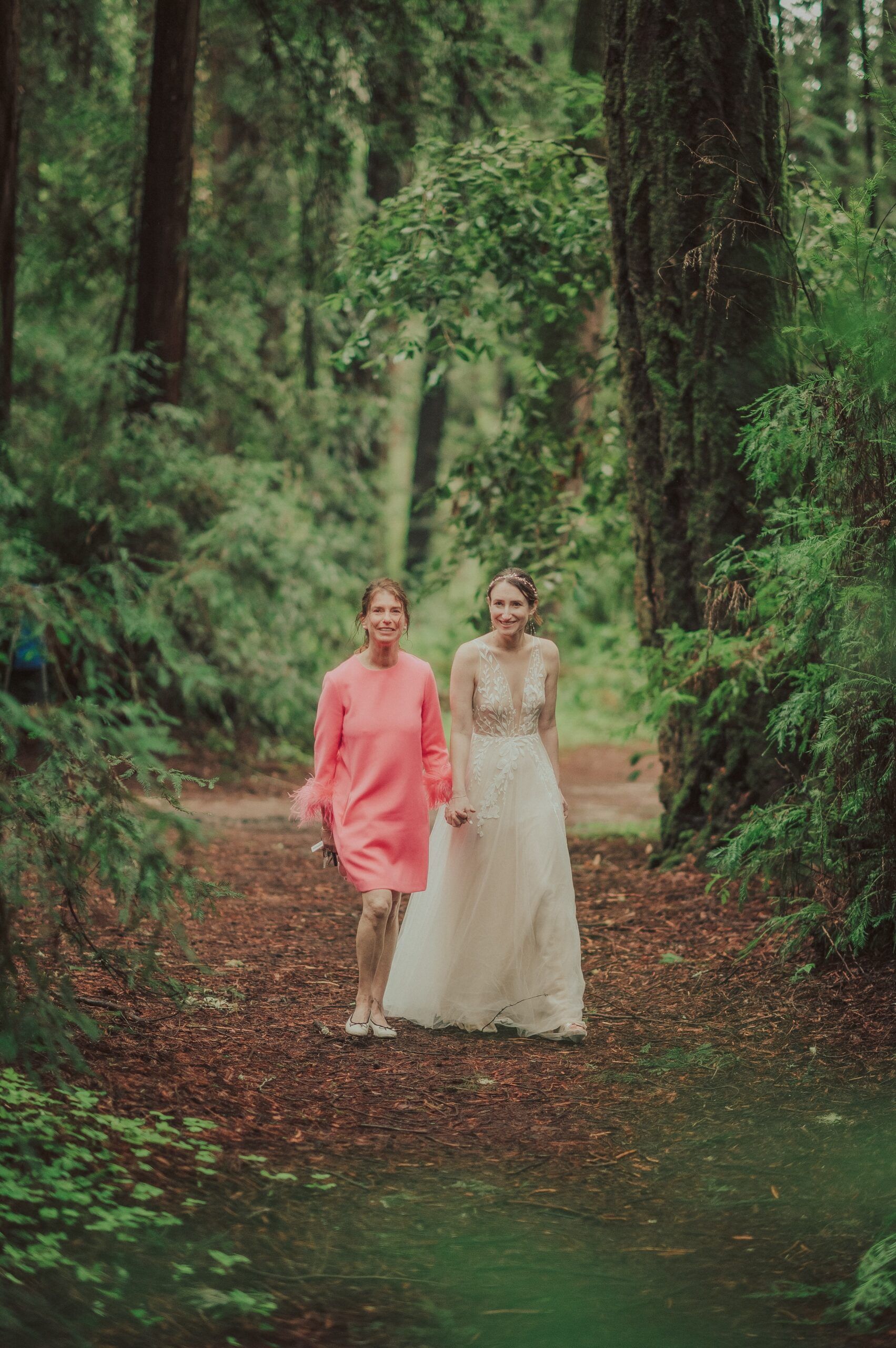 Henry Cowell Redwoods State Park Wedding, Woodhouse Brewery Wedding, Santa Cruz Wedding, James Lester Photography