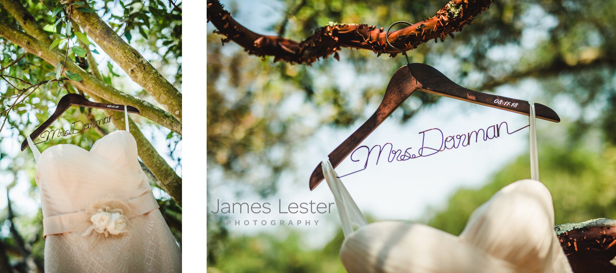 Photo from Annika and James Tiber Canyon Ranch Wedding. image-asset-241