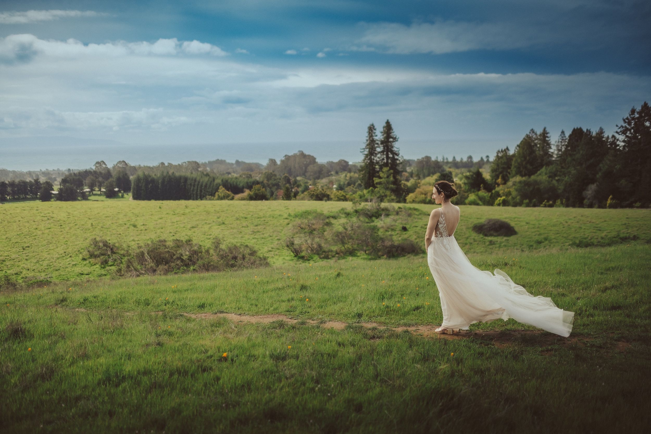 Photo from Henry Cowell Redwoods Wedding. Henry Cowell Redwoods State Park Wedding, Woodhouse Brewery Wedding, Santa Cruz Wedding, James Lester Photography
