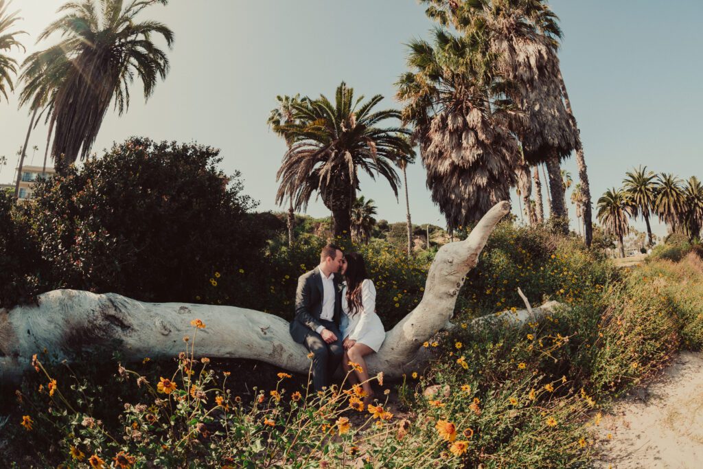 Wedding at Santa Barbara Courthouse, Santa Barbara Courthouse Wedding, James Lester Photography