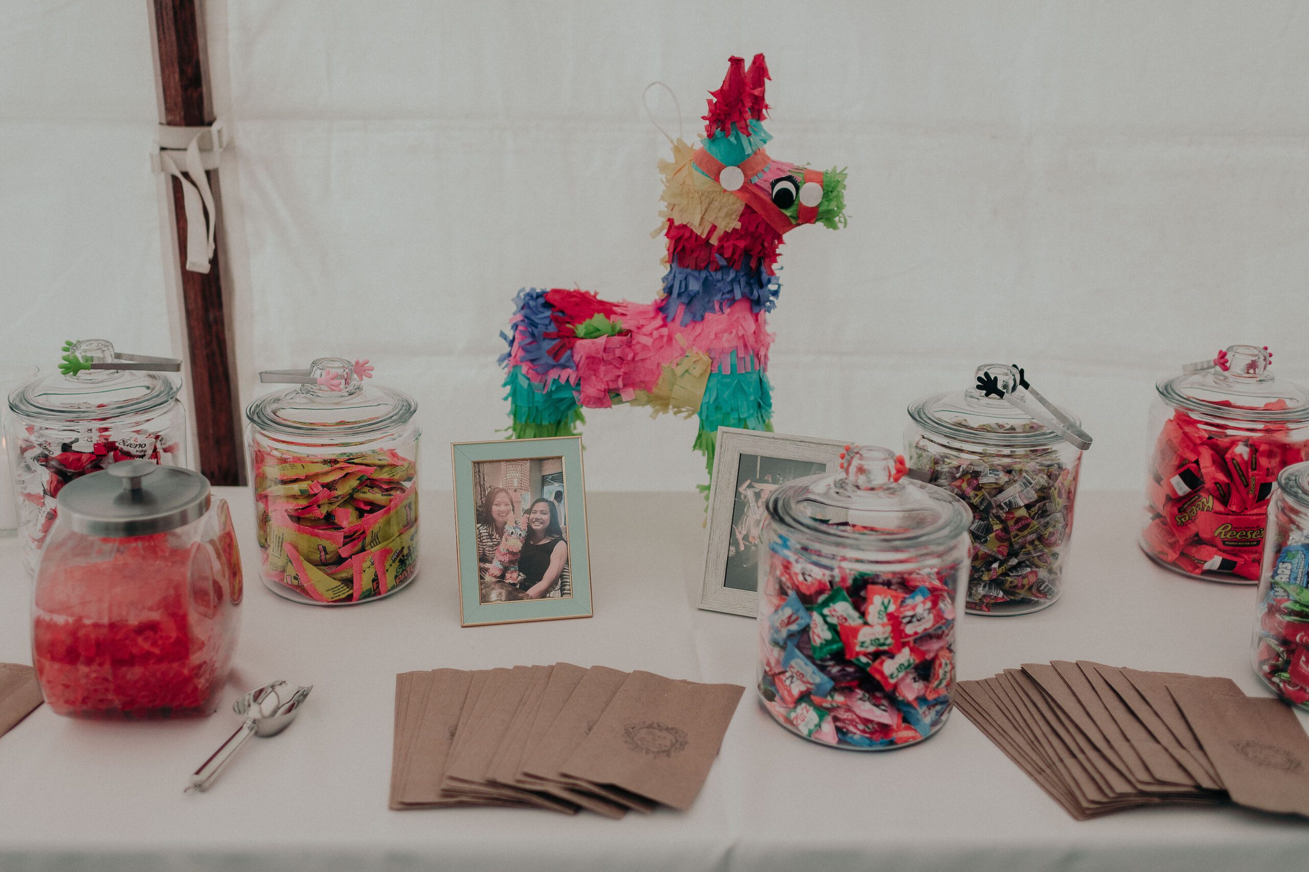 Dolphin Bay Resort Wedding, Dolphin Bay Resort &amp;amp;amp;amp;amp;amp;amp;amp; Spa Wedding, Pismo Beach Wedding, James Lester Photography