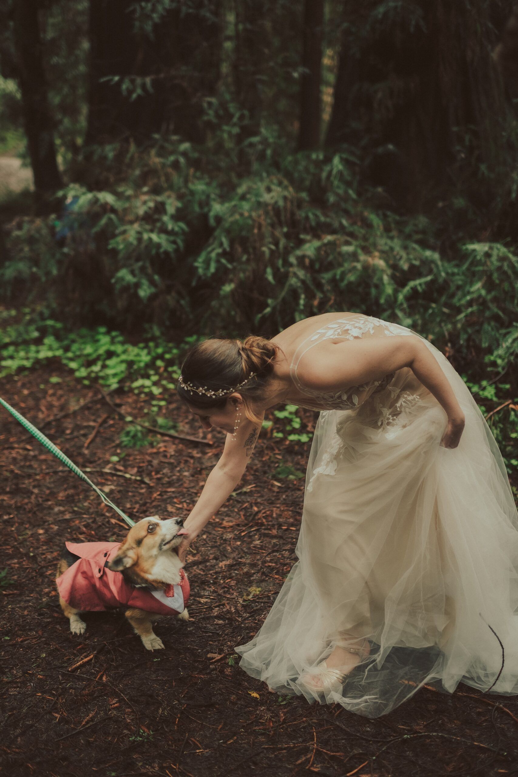 Henry Cowell Redwoods State Park Wedding, Woodhouse Brewery Wedding, Santa Cruz Wedding, James Lester Photography