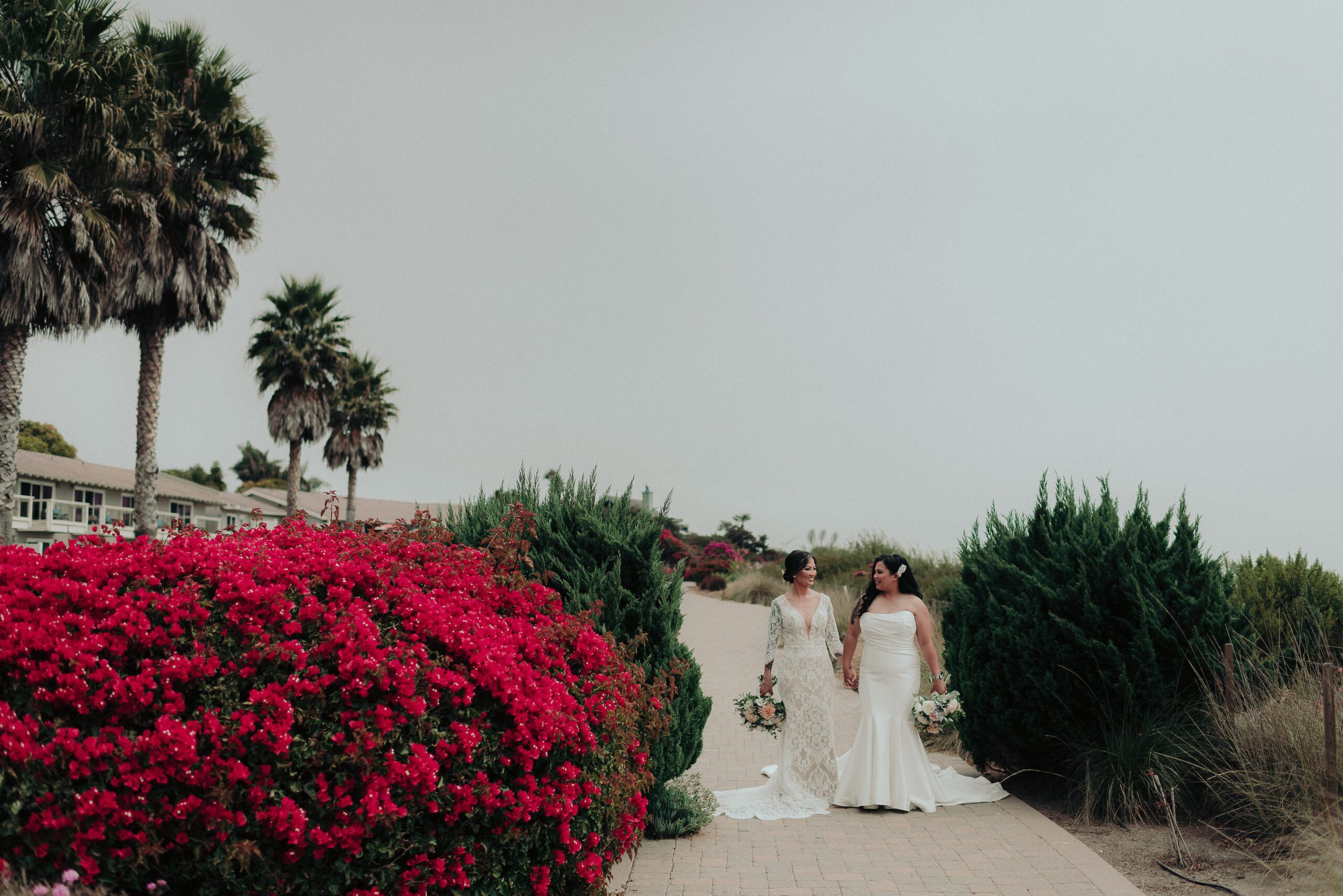 Dolphin Bay Resort Wedding, Dolphin Bay Resort &amp;amp;amp;amp;amp;amp;amp;amp; Spa Wedding, Pismo Beach Wedding, James Lester Photography