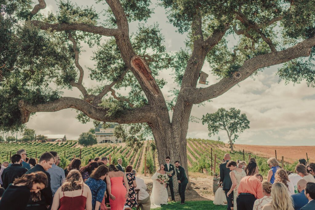 Ellas Vineyard Wedding, San Luis Obispo Wedding Photographer, James Lester Photography