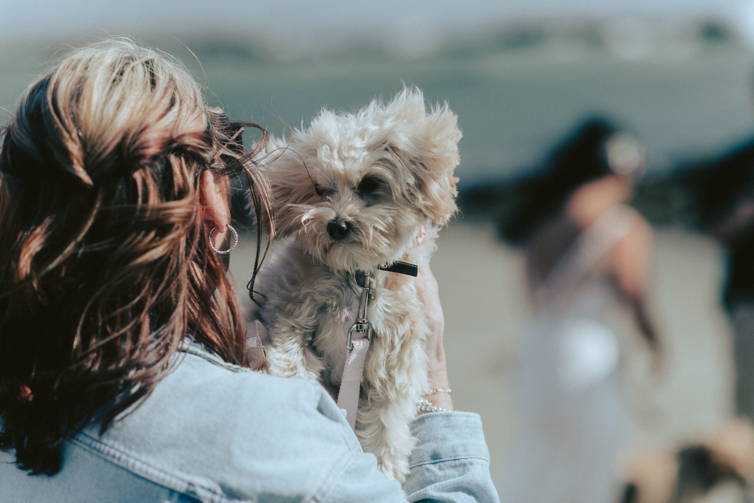 Estero Bluffs State Park Adventure Elopement, James Lester Photography, Cayucos CA Wedding