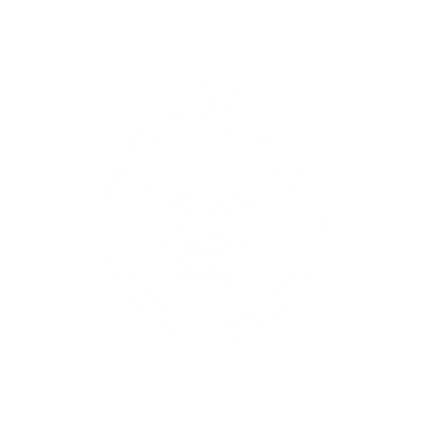 Fyamonkey logo