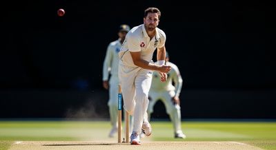 Defining the Fast Bowler Approach in Cricket