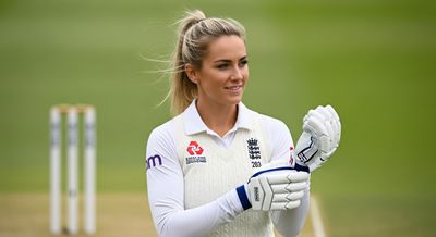 Steady Accumulator The Methodical Builder