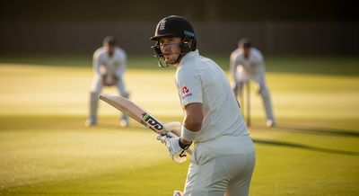 Famous Examples of Ducks Leading to Success