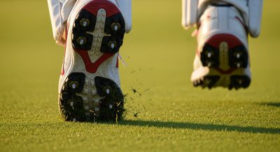 All-Rounder Shoes for Versatile Use