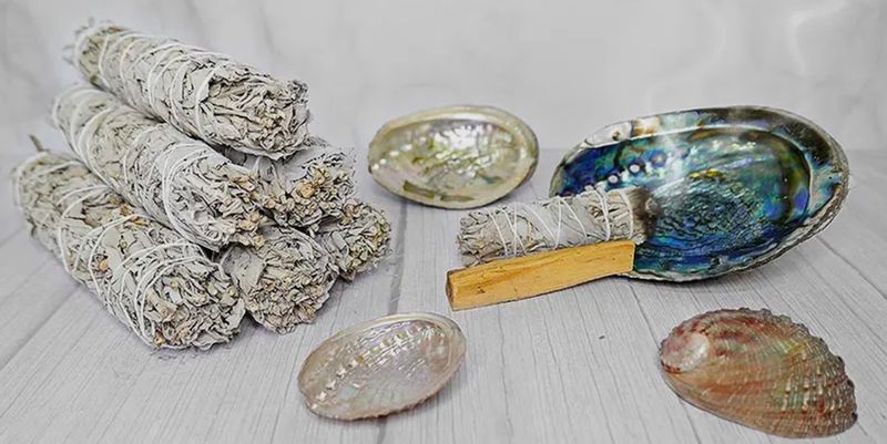 Abalone Shell for Smudging