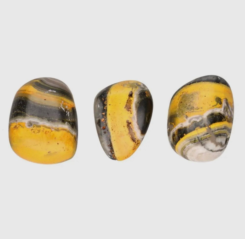 Bumble Bee Jasper