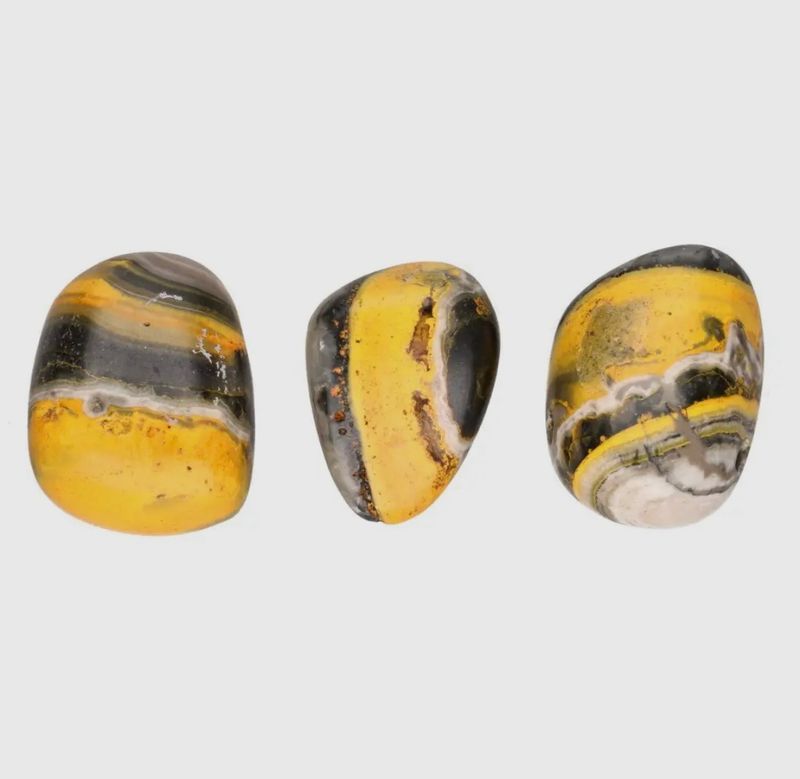 Bumble Bee Jasper