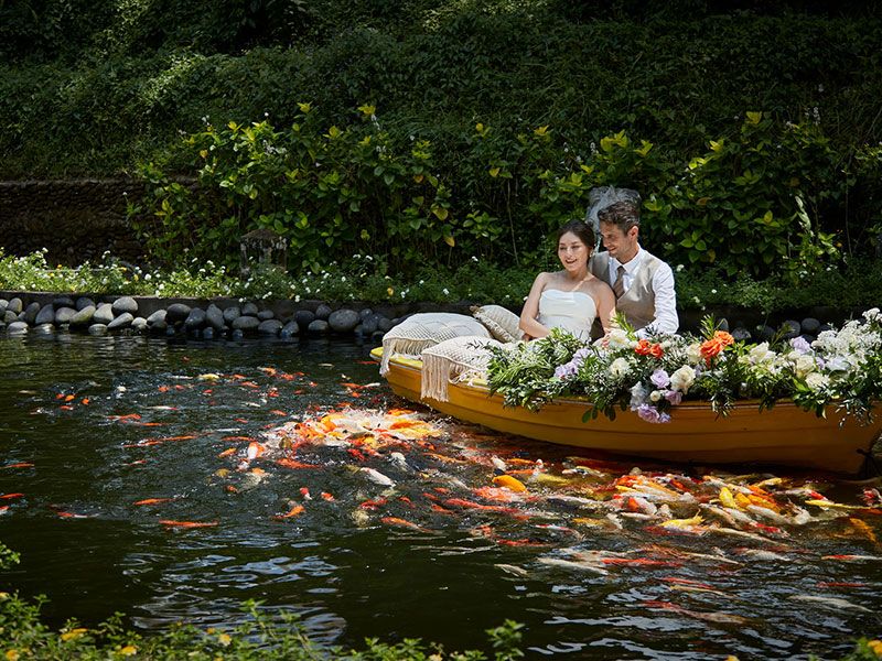 The Original Koi Boat Experience