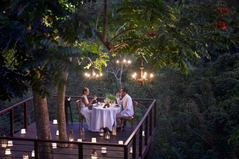 Forest Dining
