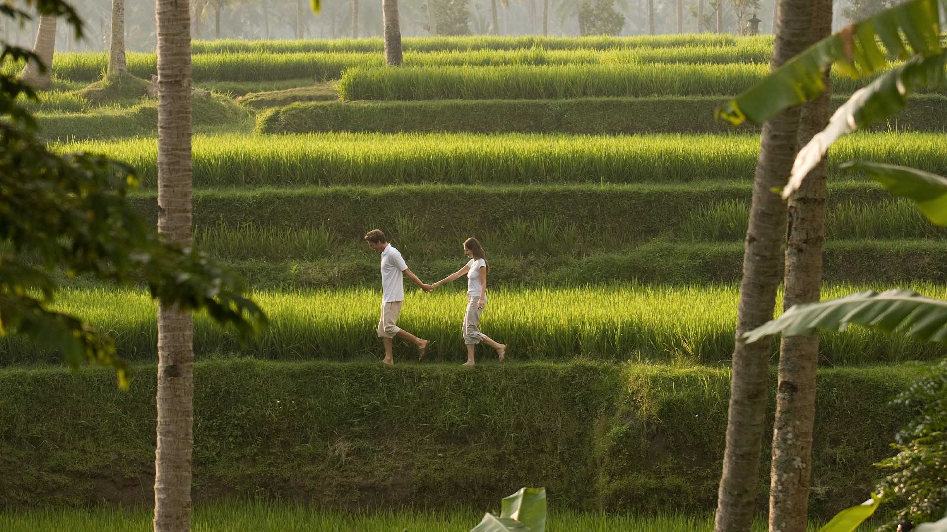 Ubud Activities & Day Experiences