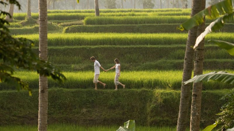 Ubud Activities & Day Experiences