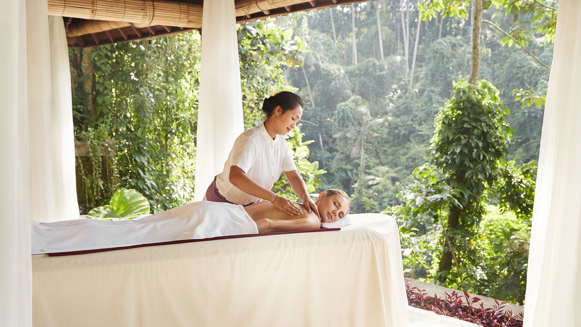 Wellness Experiences