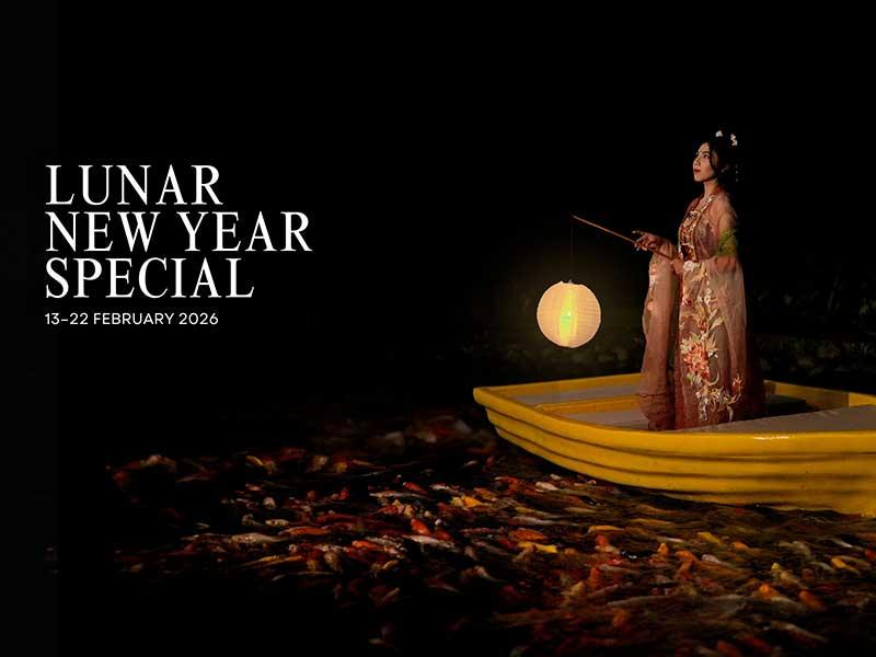 Lunar New Year Special