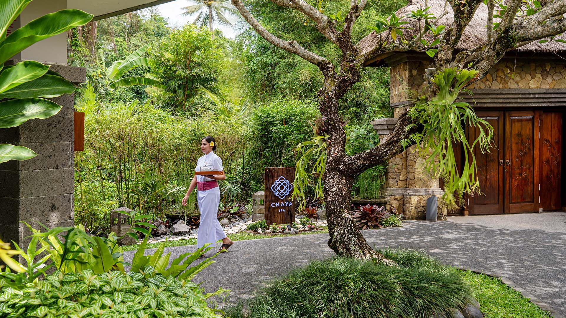 Wellness Experiences