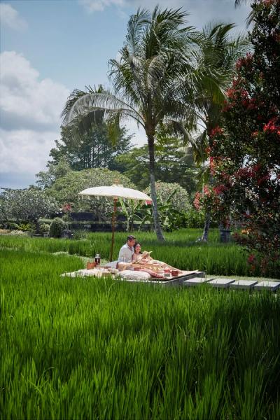 Sip, Savor, and Relax: A Luxurious High Tea Experience Amidst Ubud’s Lush Rice Fields