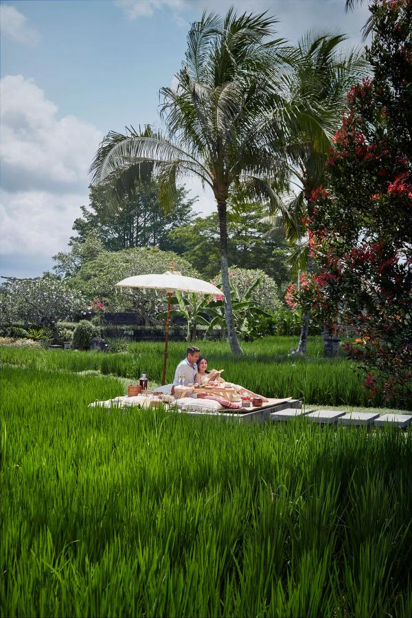 Rice Fields High Tea Ubud