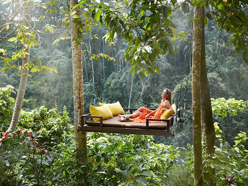 Forest Swing at Forest Spa Ubud 