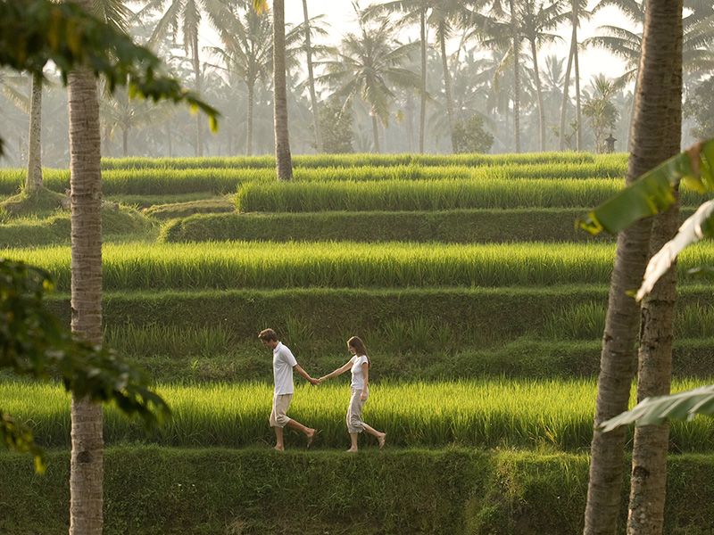 Private Guided Trekking Ubud