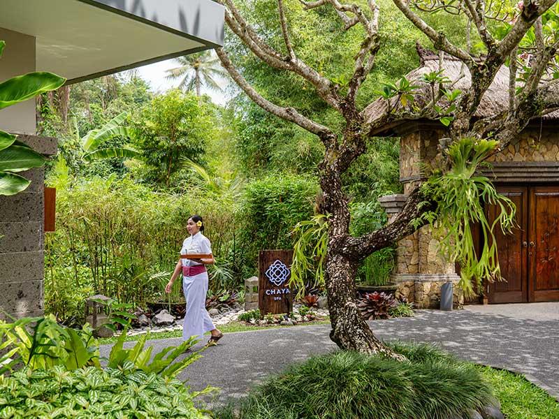Chaya Spa