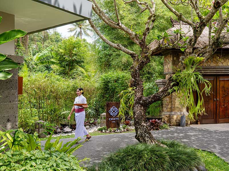 Chaya Spa