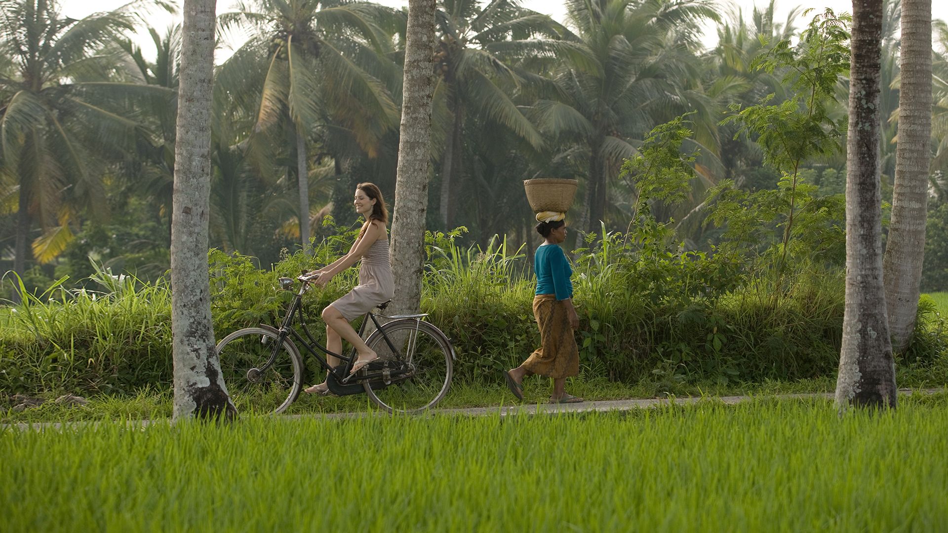 Private Guided Cycling Ubud