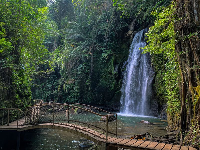 Private Waterfall Tour Ubud