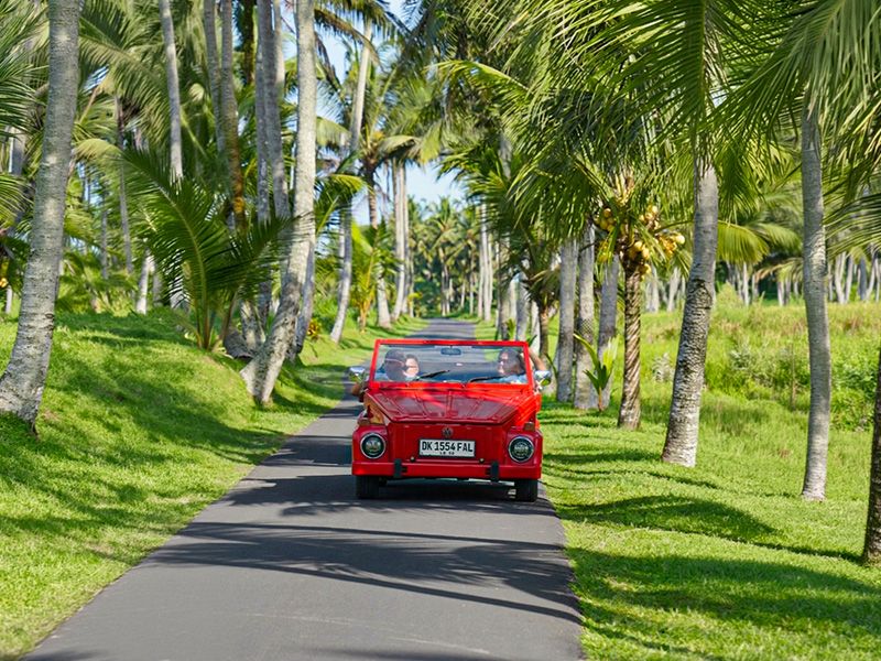 Classic VW Safari Tour Ubud