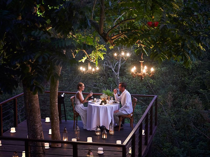 Forest Dining