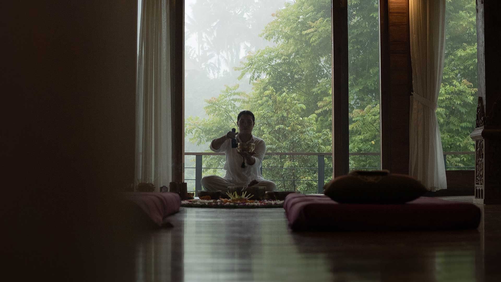 Wellness Activities
