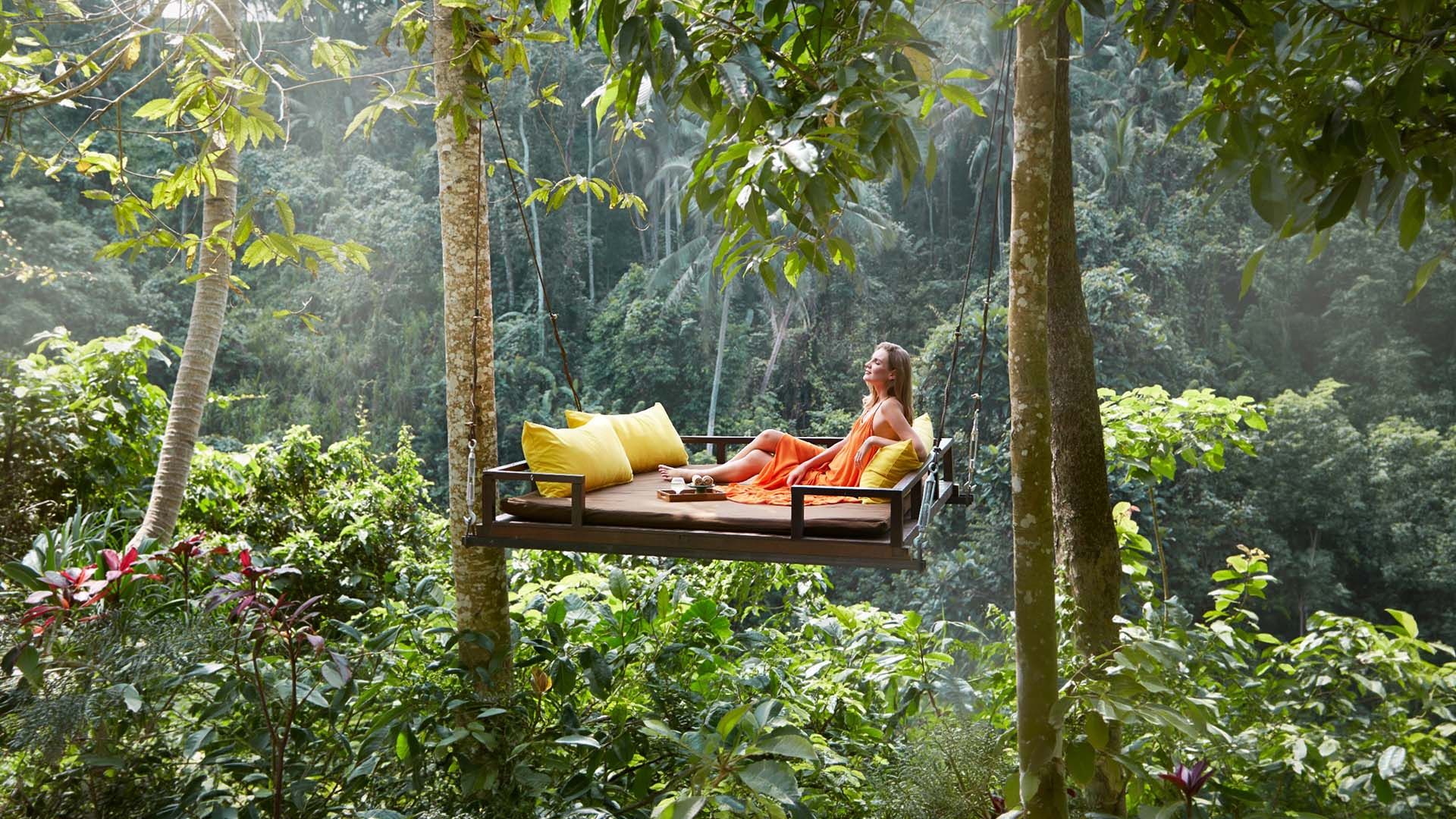 Wellness Experiences