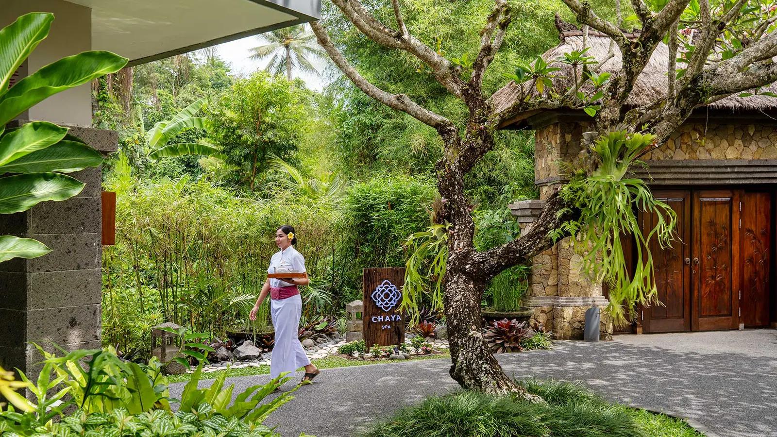 Chaya Spa