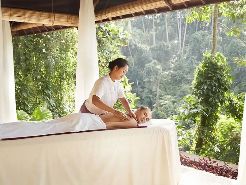 Forest Spa