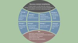 Recovery orienteret rehabilitering