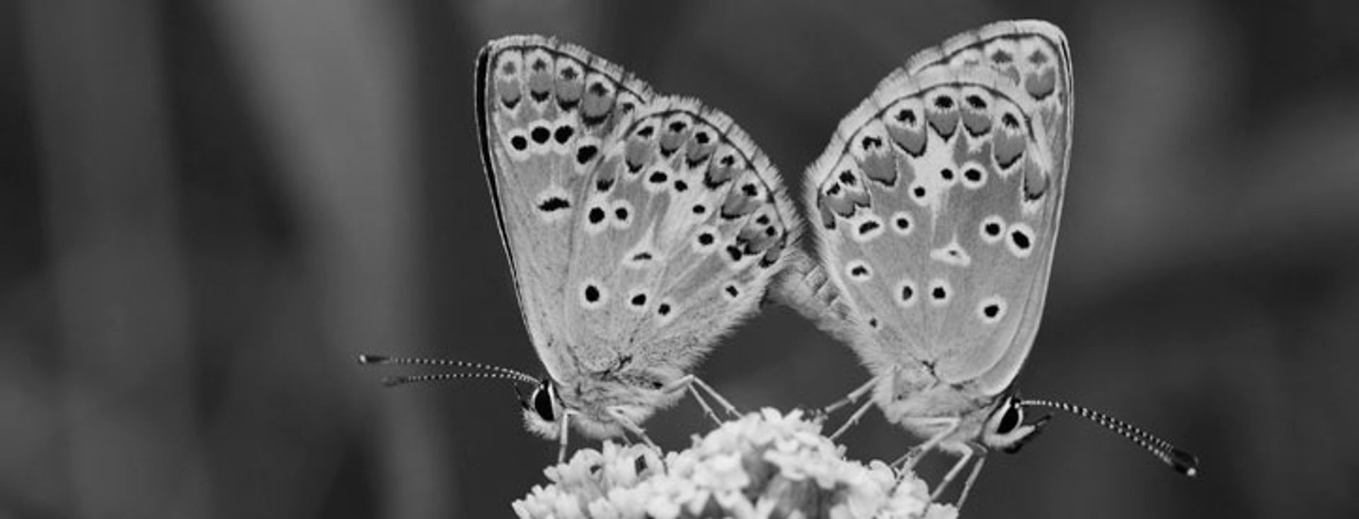 Genbrug og videreudvikling kan ofte betale sig