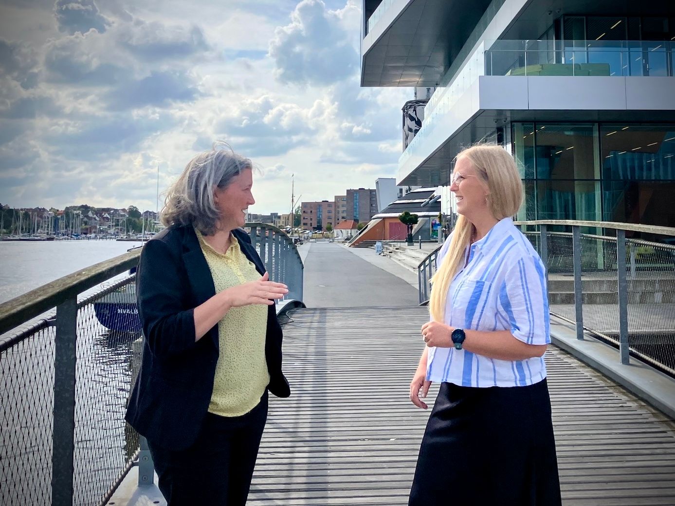 Det rådgivende team