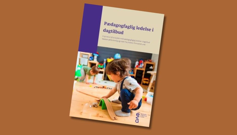 rapport pædagogfaglig ledelse