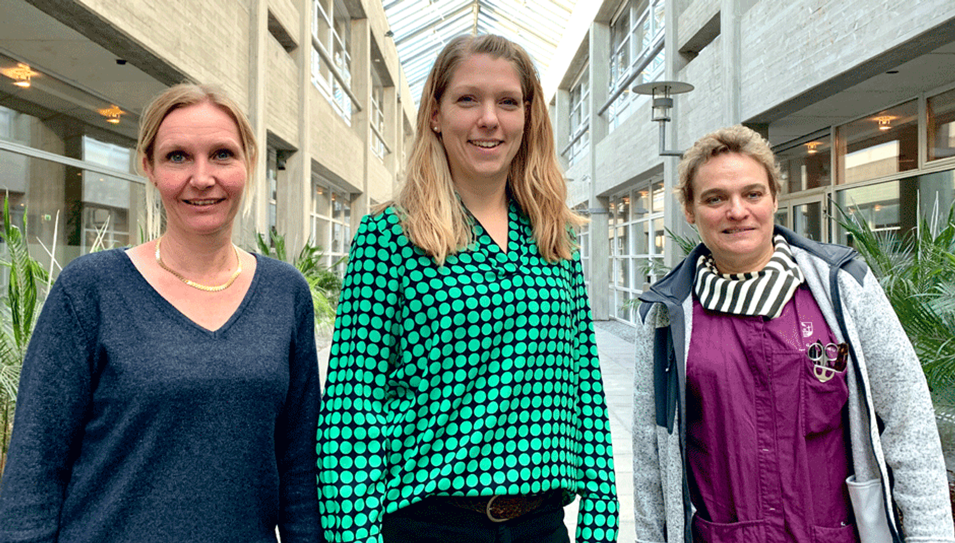 samskabt styring i Køge