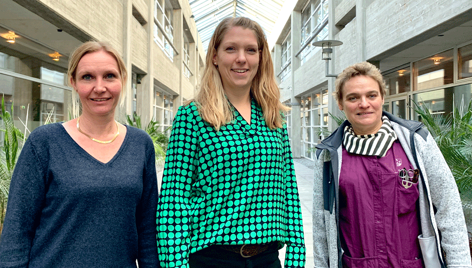 samskabt styring i Køge