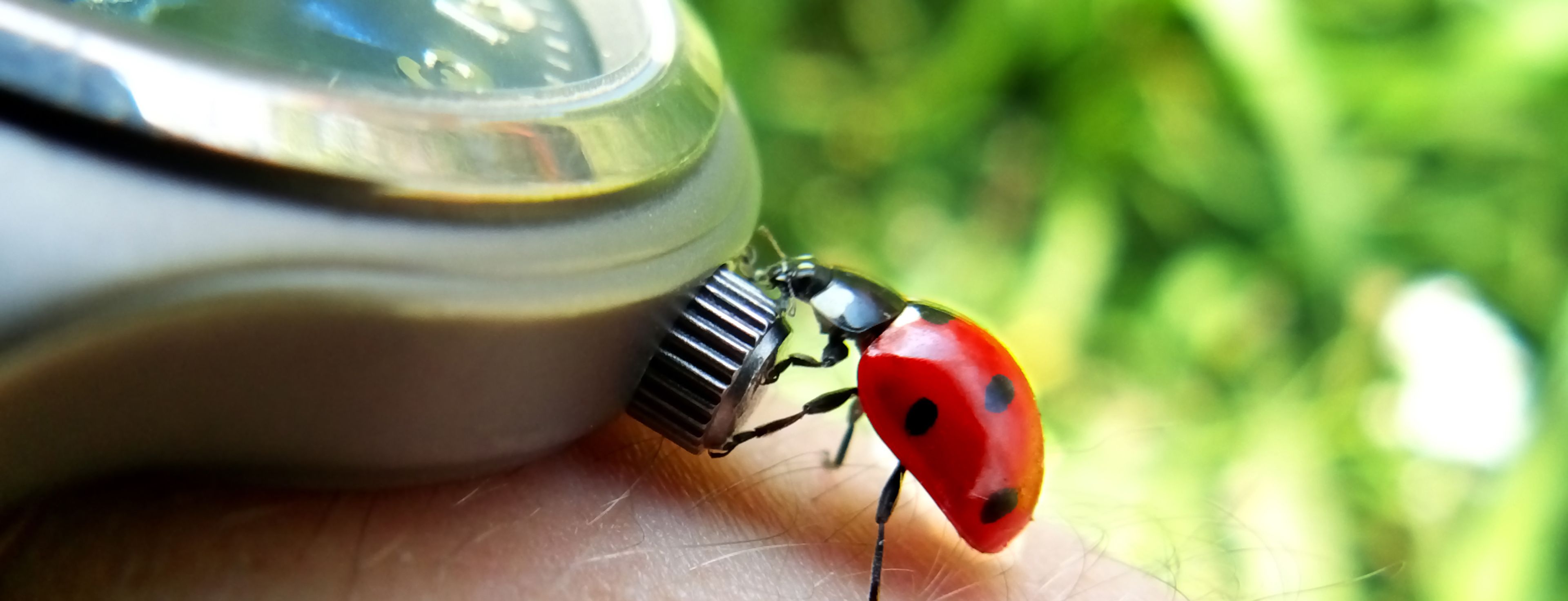 Når man er i flow flyver tiden og man arbejder mere effektivt.