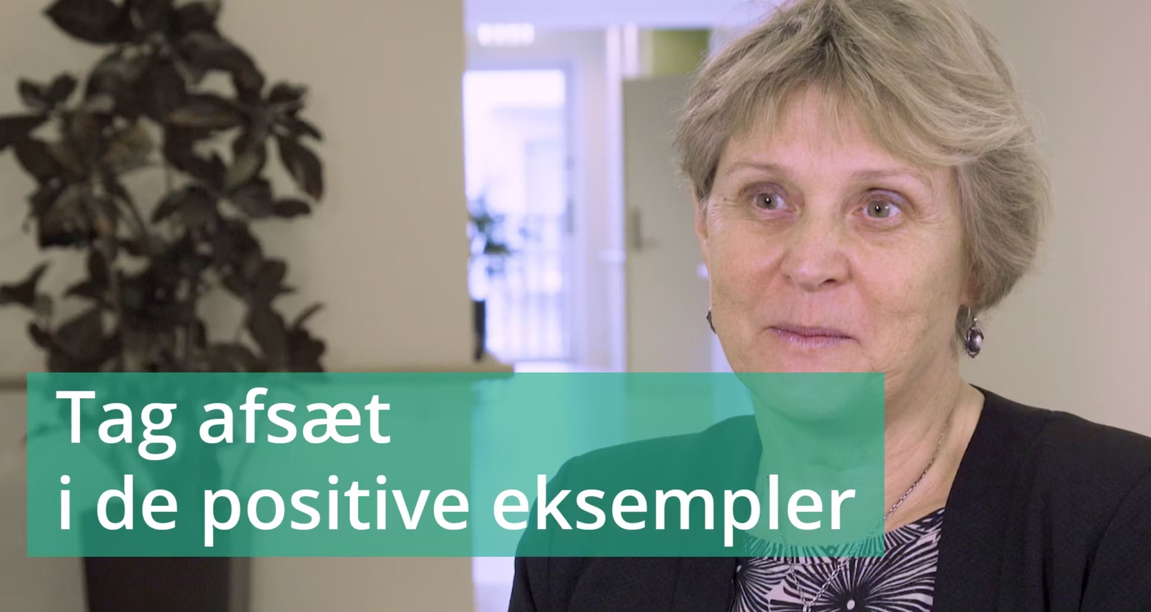 VIDEO 1: Tag afsæt i de positive eksempler