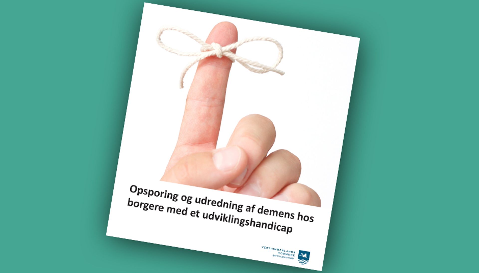 Se pjece: Opsporing og udredning af demens hos borgere med et udviklingshandicap