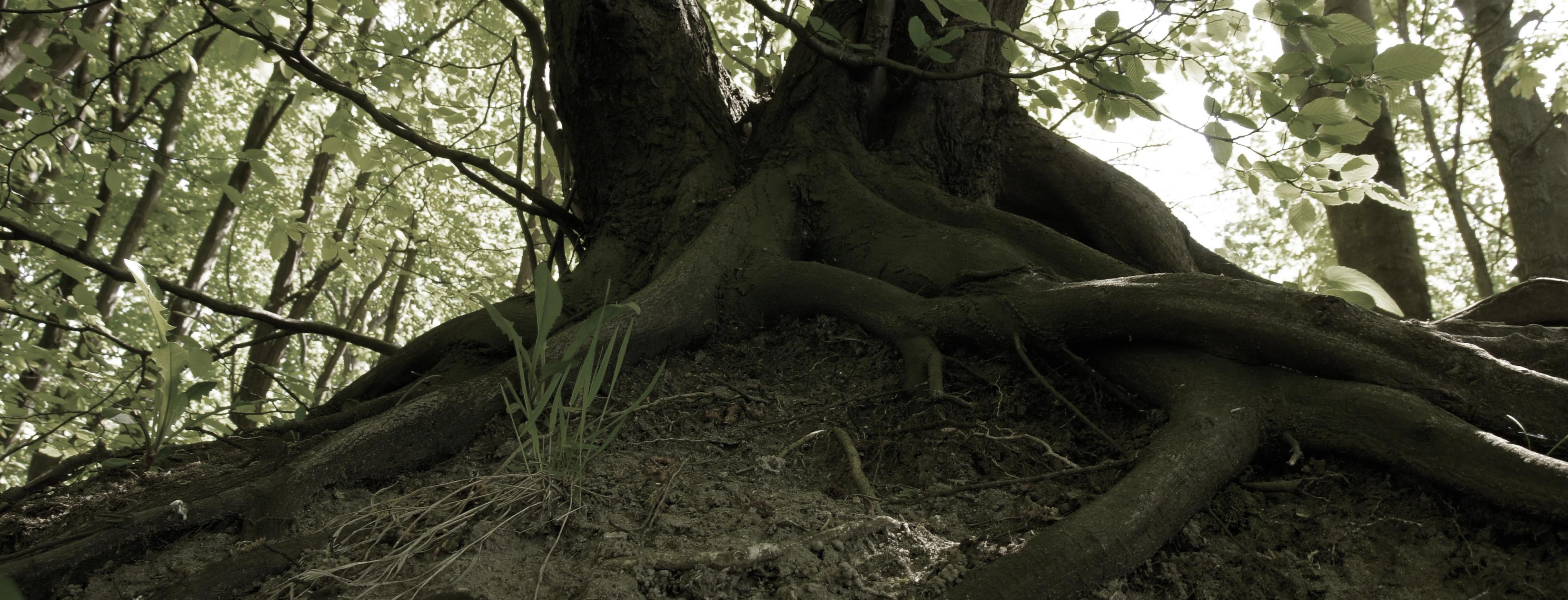 Stress og arbejdsglæde